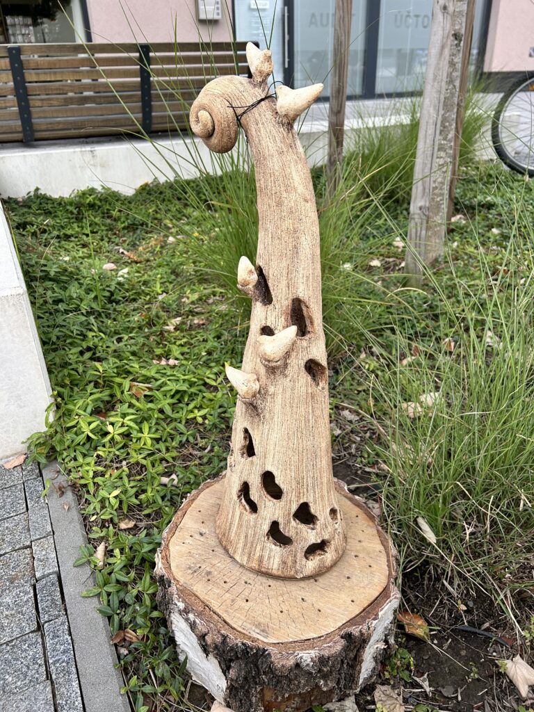 Úvod 5